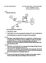 Đề thi chọn học sinh giỏi môn Sinh học Lớp 11 (Có đáp án)